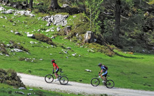 Radfahren und Mountainbiken im Sommerurlaub in Filzmoos