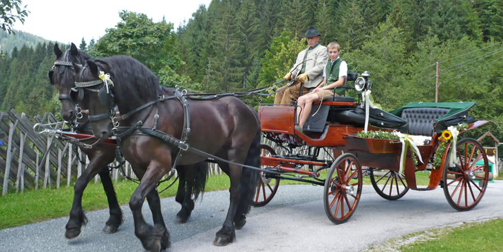 Hochzeitskutschen: Pferdekutschenfahrten und Pferdeschlittenfahrten auf dem Hallmooshof in Filzmoos